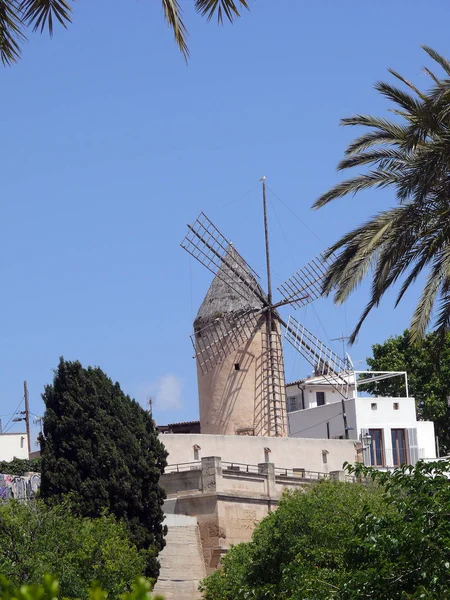 Windmolen Palma Mallorca — Stockfoto