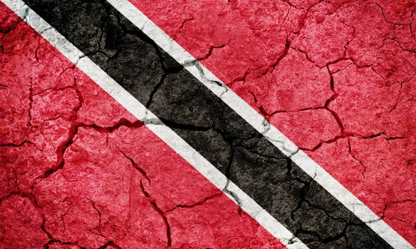 特立尼达和多巴哥共和国国旗在干燥的地面纹理背景 — 图库照片