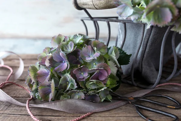 Floral Ainda Vida Com Hortênsias Estilo Vintage — Fotografia de Stock