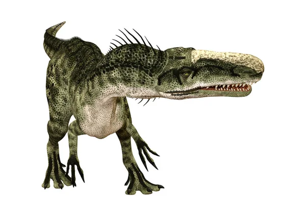 Darstellung Eines Dinosaurier Monolophosaurus Isoliert Auf Weißem Hintergrund — Stockfoto