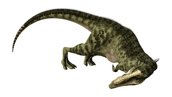 Weergave Van Een Dinosaurus Die Monolophosaurus Geïsoleerd Witte Achtergrond — Stockfoto