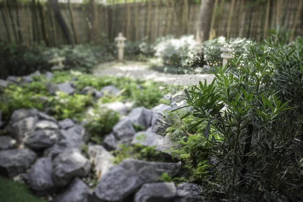 Petit Jardin Rocaille Style Japonais Photo Réserve — Photo