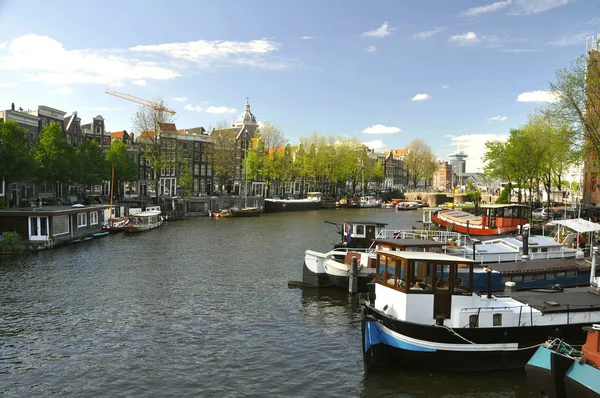 Amsterdan Hollanda Avrupa — Stok fotoğraf