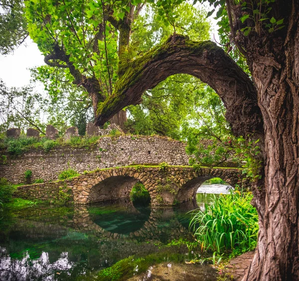 Fantasy River Bridge Tree Trunk Branch — Stockfoto