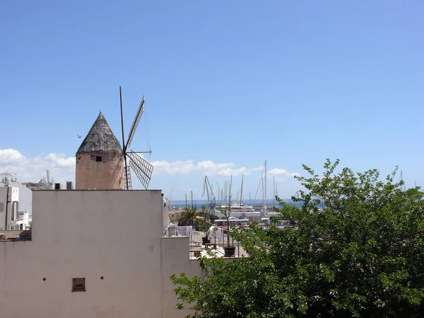 Windmill Palma Mallorca — Stock Photo, Image