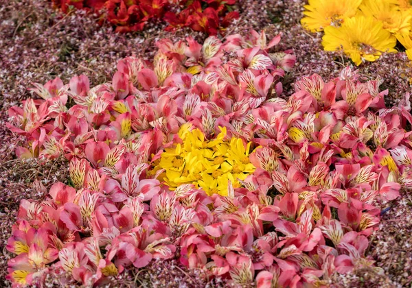 Belleza Decoración Florística Con Coloridas Flores Tropicales —  Fotos de Stock