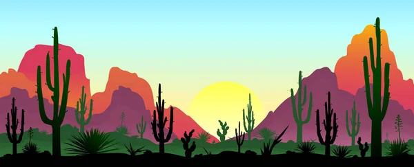 Sunset in the desert. Silhouettes of stones, cacti and plants. Desert landscape with cacti. The stony desert.