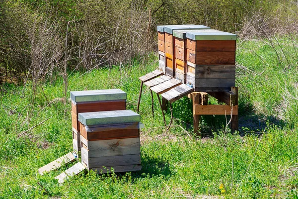 Méhészet Méhek Repülnek Egy Fából Készült Méhészetbe — Stock Fotó