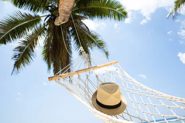 Mavi Gökyüzüne Karşı Palmiye Ağacının Altında Hamak Şapka Yakın Çekim — Stok fotoğraf