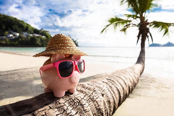 Close Pink Piggybank Sunglasses Tree Trunk Beach — Stok Foto