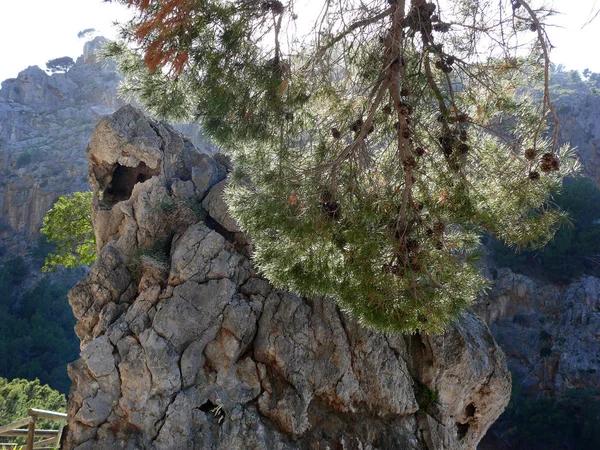 Calobra Mallorca — Stock Photo, Image