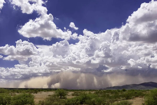 아리조나 사막에서 형성되는 모래폭풍 — 스톡 사진