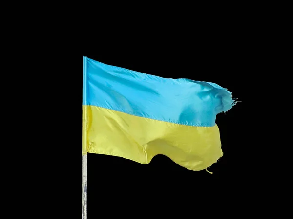 Ukrainian Flag Waving Blowing Wind Isolated Black — Stock Photo, Image