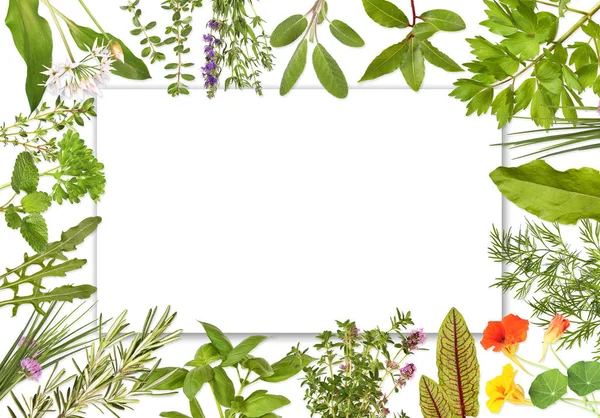 Blank label framed with many different herbs, Design 2.