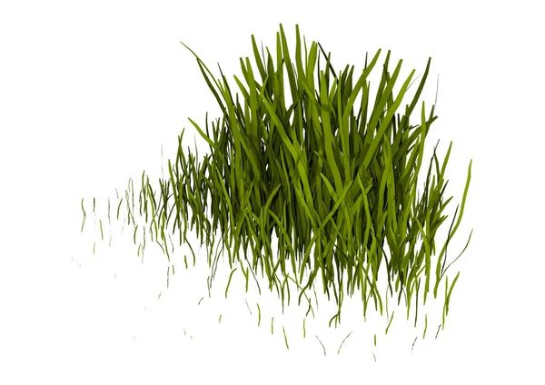 Rendering Einer Grasfläche Isoliert Auf Weißem Hintergrund — Stockfoto