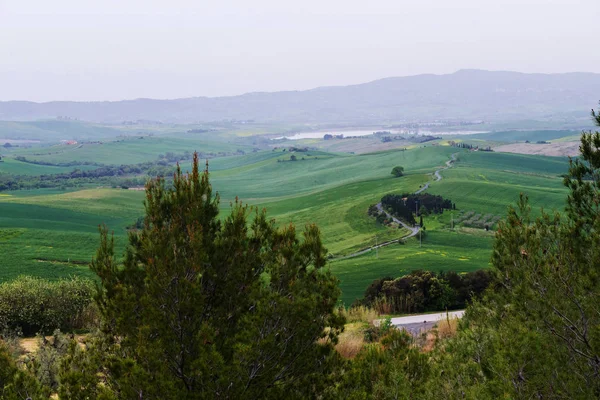 Vacker Vårkväll Froggy Landskap Toscana Landsbygd Italien — Stockfoto