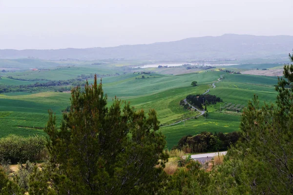 Hermoso Paisaje Rana Noche Primavera Campiña Toscana Italia — Foto de Stock