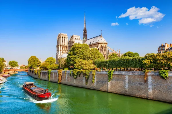 Notre Dame Paris Весною Франція — стокове фото