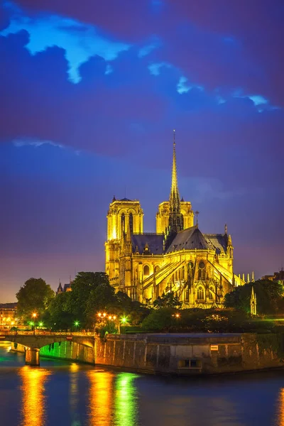 Notre Dame Paris Natten Frankrike — Stockfoto