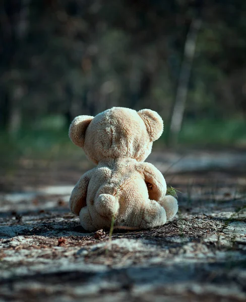 Urso Pelúcia Marrom Senta Volta Meio Uma Estrada Arenosa Floresta — Fotografia de Stock