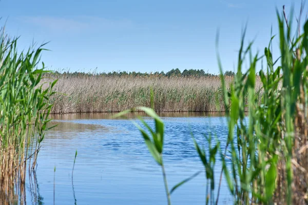 Lac Thérapeutique Avec Iode Des Minéraux Milieu Steppe Sauvage Lac — Photo