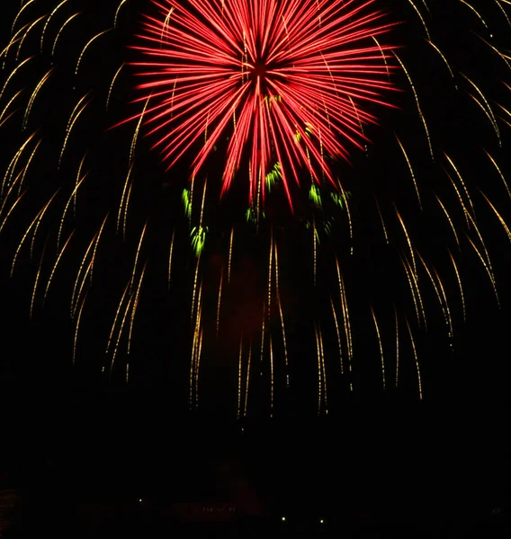 Schönes Und Farbenfrohes Feuerwerk Schwarzer Nacht — Stockfoto