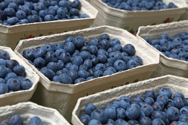 Close Fresh Blueberry Berries Paper Container Retail Display Farmers Market — Stock Photo, Image