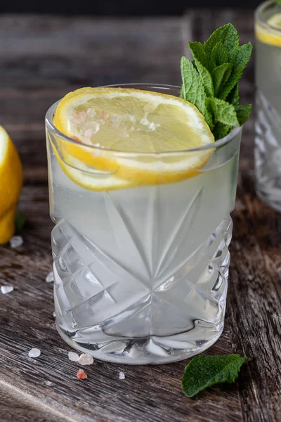 Gin Tonic Com Fatias Limão Folhas Hortelã Fresca — Fotografia de Stock