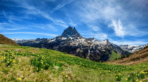 春のピック ミディ オッサウの眺め フランスのピレネー山脈 — ストック写真