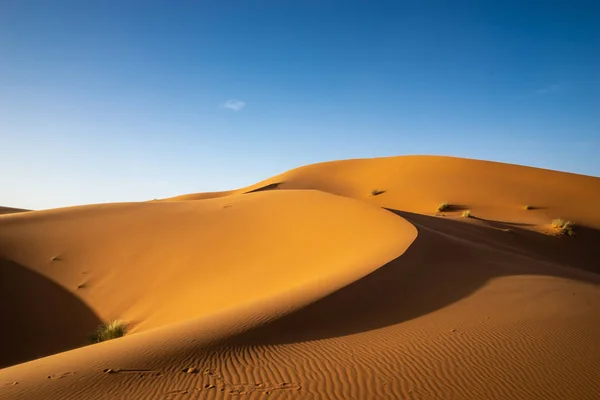 Superficie Del Desierto Paisaje Dunas — Foto de Stock