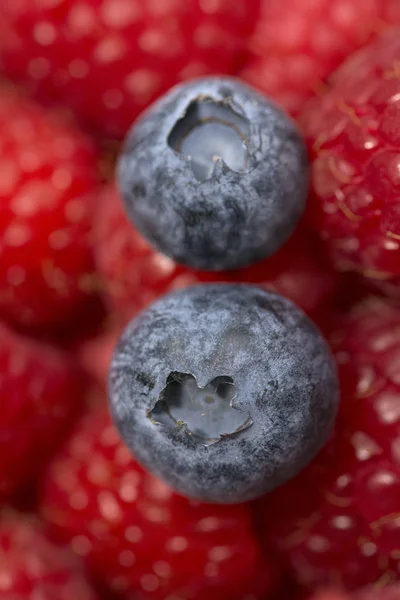 Berries Close Shot Conceito Alimentar Saudável — Fotografia de Stock