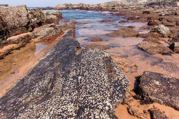 해안에 바위투성이 웅덩이 이자연 경관을 — 스톡 사진