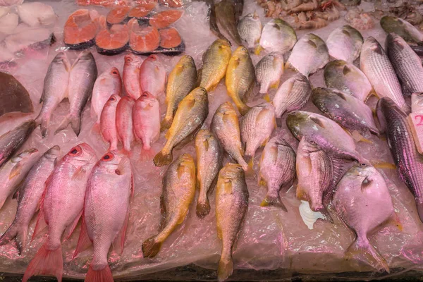 Pescado Fresco Mercado Hong Kong —  Fotos de Stock