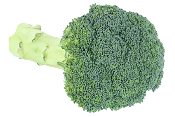 Brocoli Légumes Frais Isolés Sur Fond Blanc — Photo