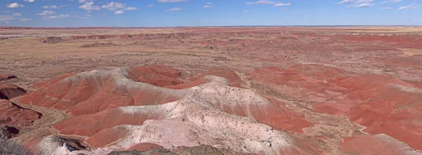 Червона Панорама Пустелі Скам Янілий Ліс Національний Парк Арізоні — стокове фото