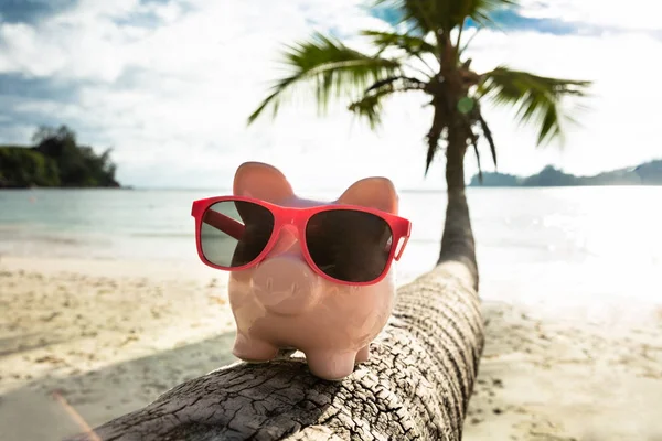 Close Pink Piggybank Sunglasses Tree Trunk Beach — Stok Foto