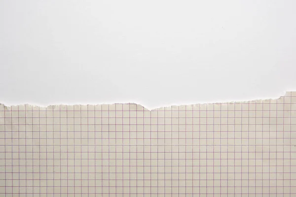 Sárga Szakadt Papírlap Egy Cellában Fehér Alapon Másolja Helyet — Stock Fotó
