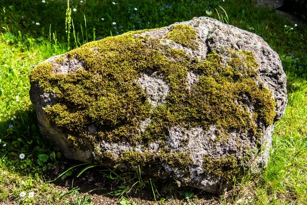 Klippiga Stenblock Övervuxna Med Mossa Ängen — Stockfoto