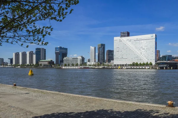 Avrupa Hollanda Rotterdam Şehri — Stok fotoğraf