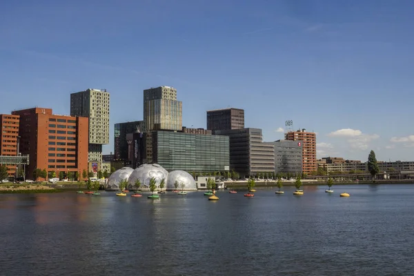 Europa Nederland Gemeente Rotterdam — Stockfoto