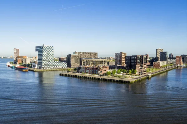 Europa Nederland Gemeente Rotterdam — Stockfoto