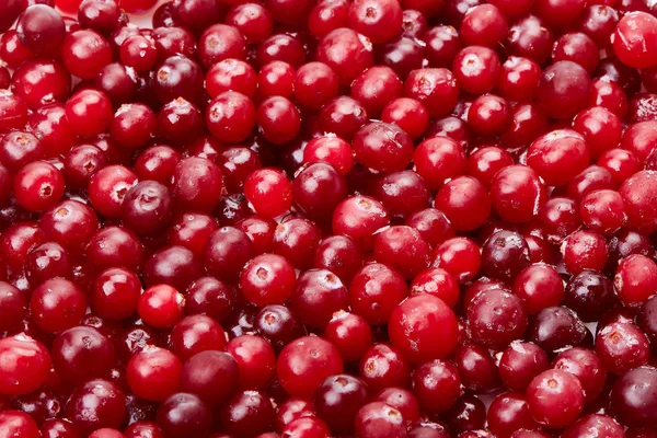 Antecedentes Cranberries Vermelhas Congeladas — Fotografia de Stock
