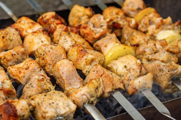 Bianco Shish Kebab Spiedi Vicino — Foto Stock