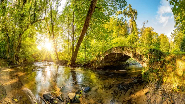 Stary Most Nad Potokiem Lesie Jasnym Słońcem Świecącym Pośród Drzew — Zdjęcie stockowe
