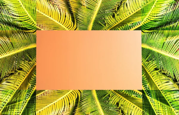 Abstrakte Grüne Blatt Textur Natur Hintergrund Tropischen Dschungel Blatt Grünes — Stockfoto