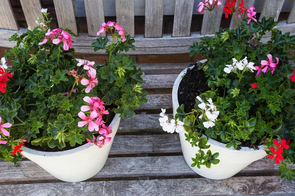 Two garden pots filled with colorful flowers on a wooden bench summer