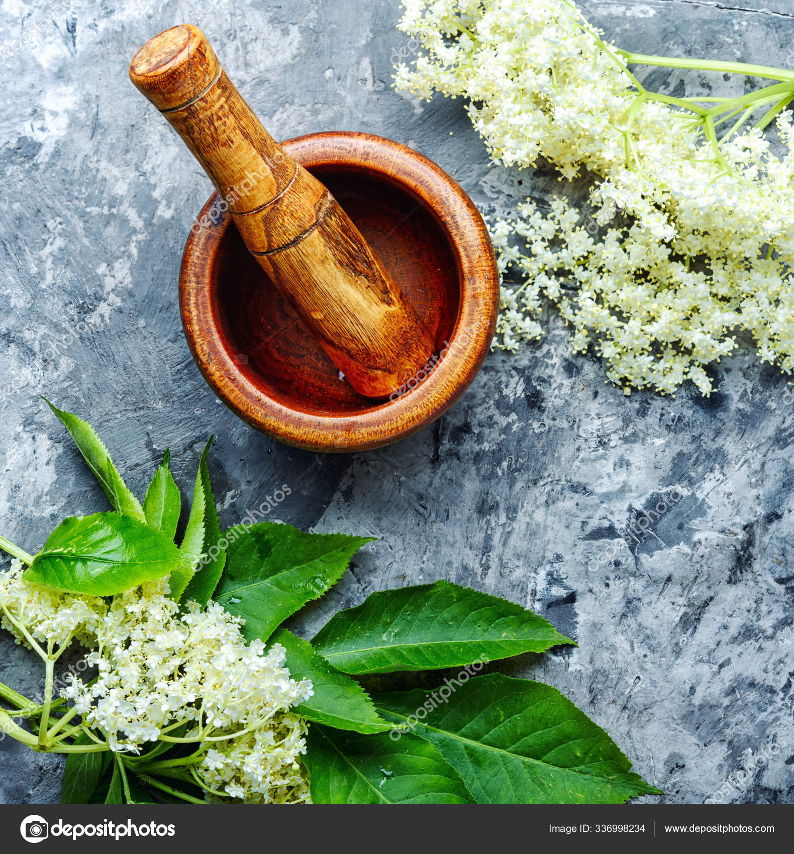 Elderberry Flowering Medicinal Plant Medicinal Herbs Inflorescence