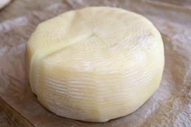 pecorino made by hand by Calabrian shepherds clipart
