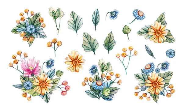 Kränze Aus Aquarell Wildblumen Festliche Illustration Mit Gänseblümchen Stiefmütterchen Malve — Stockfoto