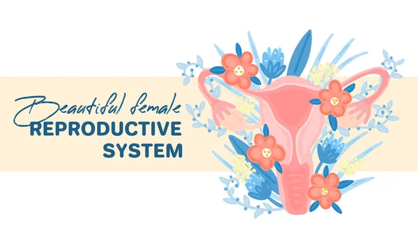 Πρότυπο Ιστού Θηλυκό Αναπαραγωγικό Σύστημα Στα Λουλούδια Προσγείωση Υγεία Των — Φωτογραφία Αρχείου